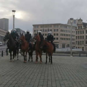 manifestation violences policières police déploiement Bruxelles Mont des Arts arrestation