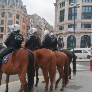 manifestation violences policières police déploiement Bruxelles Mont des Arts arrestation