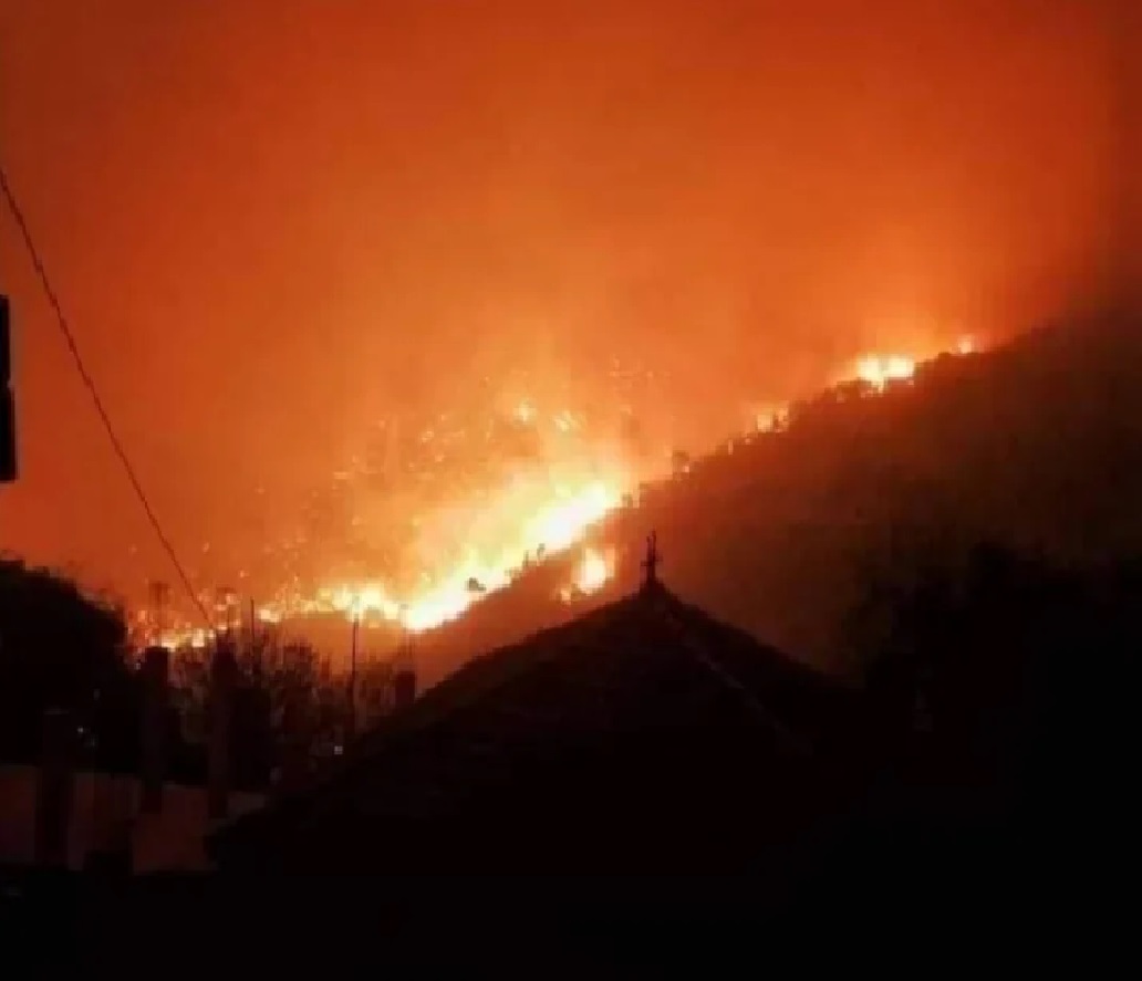 De violents incendies en Algérie ont fait 65 morts en 2 jours.