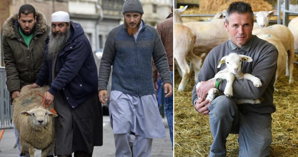 Photo d'illustration de la carte blanche sur le traitement médiatique de l'abattage rituel dans les colonnes du journal Le Soir.