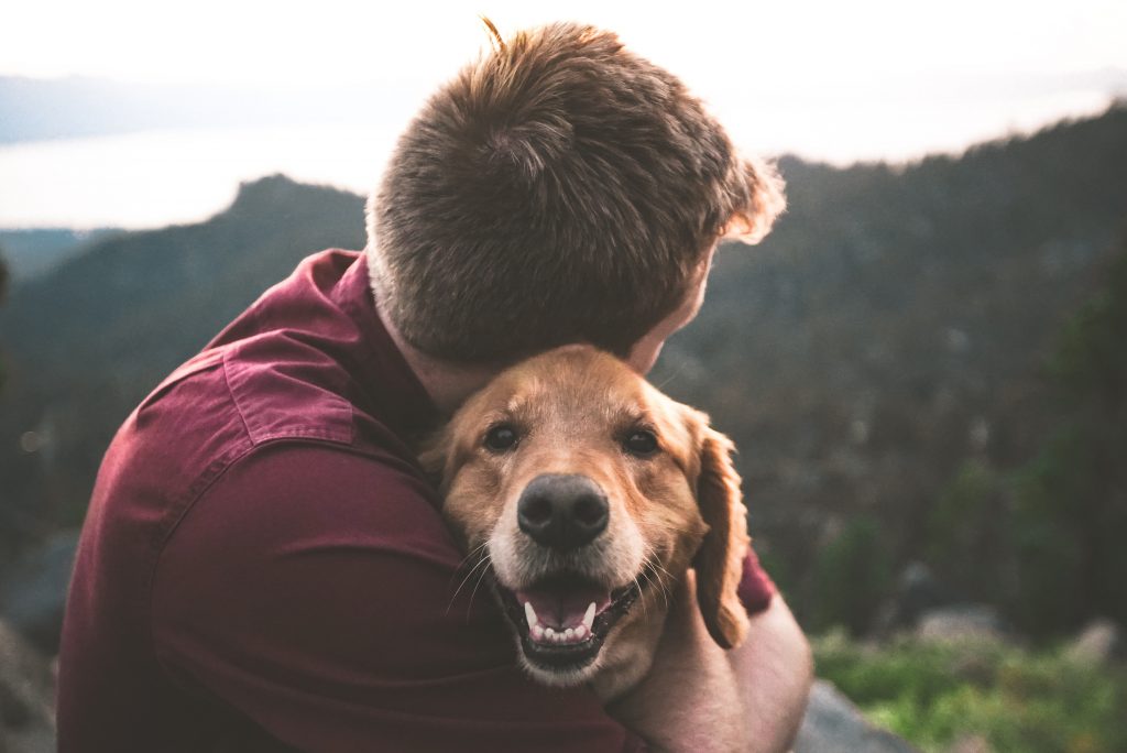 L'OMS appelle à la vigilance après une infection chez les chiens